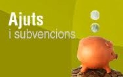 Informació sobre ajudes i subvencions