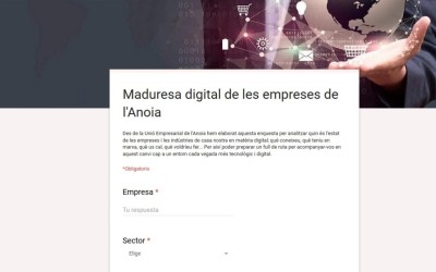 Analitzar la maduresa digital de les empreses de l’Anoia: objectiu de la UEA