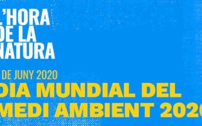 L’empresa i la indústria responsables amb el medi ambient: L’Economia Circular, la Transició Energètica i els Objectius de Desenvolupament sostenible